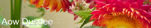 5043945_21_1_ (623x119, 206Kb)