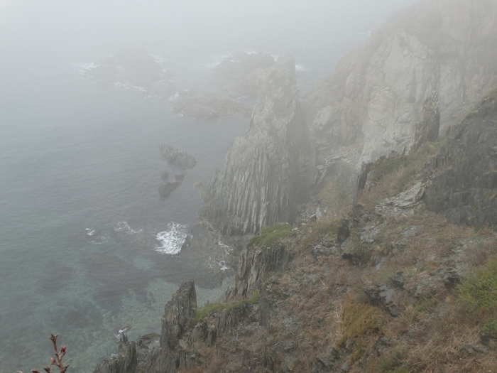 112601610_large_5559494_DSC05501 (700x525, 279Kb)
