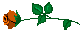 cveta-1224 (80x32, 1Kb)