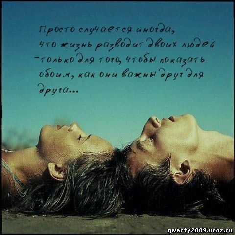     (480x480, 46Kb)