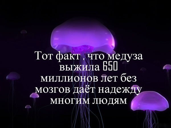 zs4B58a8b9Q (600x450, 37Kb)
