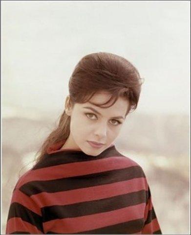 82[2] (391x480, 18Kb)