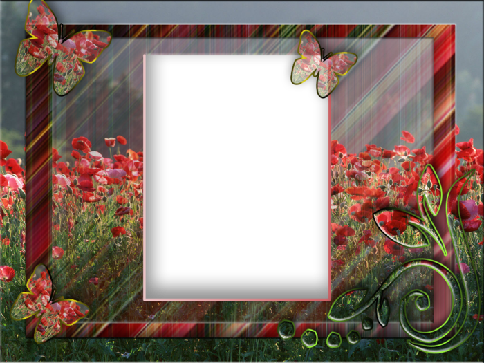 (700x525, 567Kb)