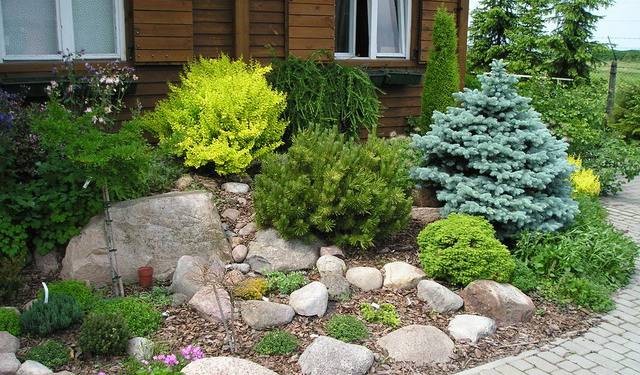 5-alpine-garden (640x375, 108Kb)