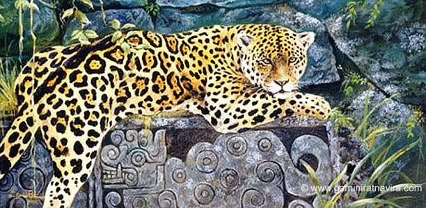jaguar (612x300, 287Kb)