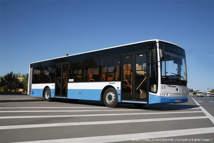 avtobus_2 (700x467, 191Kb)