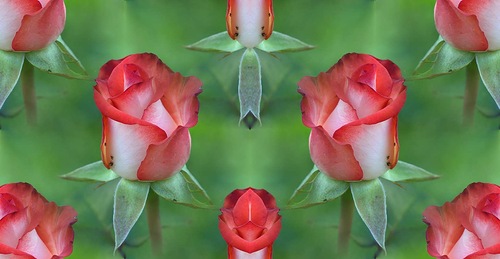 0_696eb_1ad64cb6_L (500x259, 40Kb)