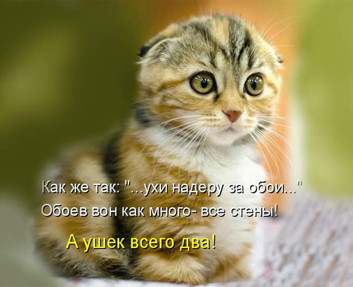 2 (700x568, 314Kb)