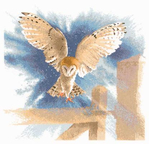  483_Owl in Flight (415x400, 99Kb)