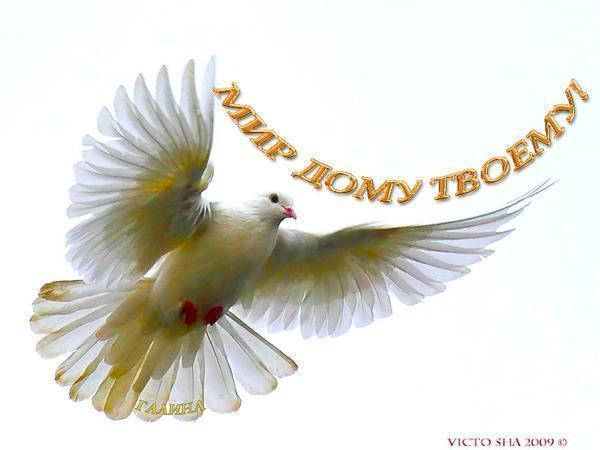 !2F36~1 (600x450, 25Kb)