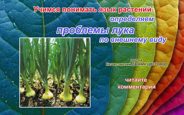 getImageCAWDYVUC (640x400, 100Kb)