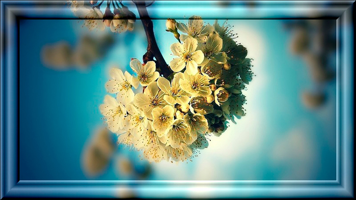 0_c60b6_7abdd8de_XL-1 (700x393, 300Kb)