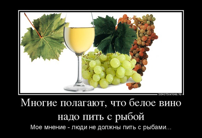 270300_mnogie-polagayut-chto-beloe-vino-nado-pit-s-ryiboj_demotivators_to (700x478, 67Kb)
