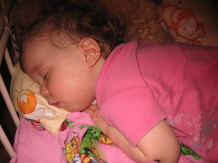 IMG_1394 (700x525, 153Kb)