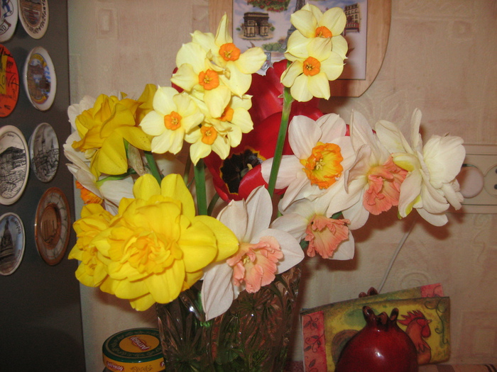 IMG_1396 (700x525, 178Kb)