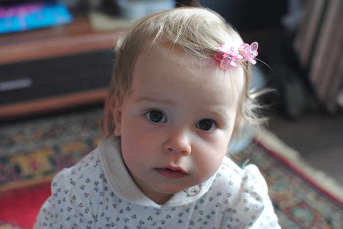 DSC_0238 (700x468, 189Kb)