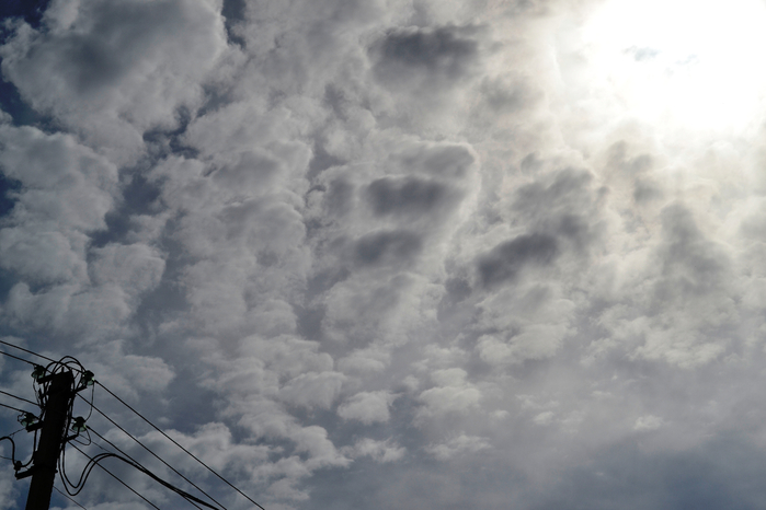 _DSC1377 (700x466, 262Kb)