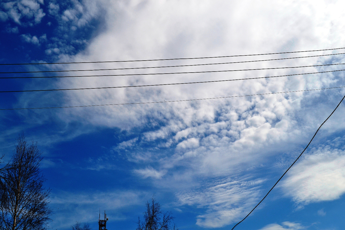 _DSC1381 (700x466, 387Kb)