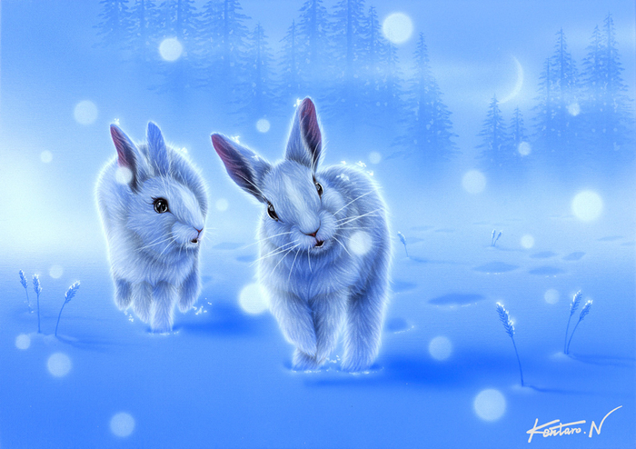 75700563393796_rabbit-together (700x494, 382Kb)