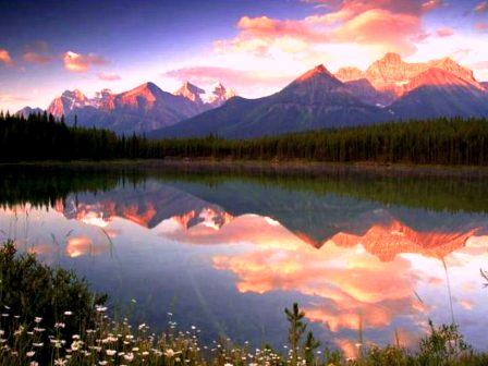 God's Paintbrush 7a (448x336, 33Kb)