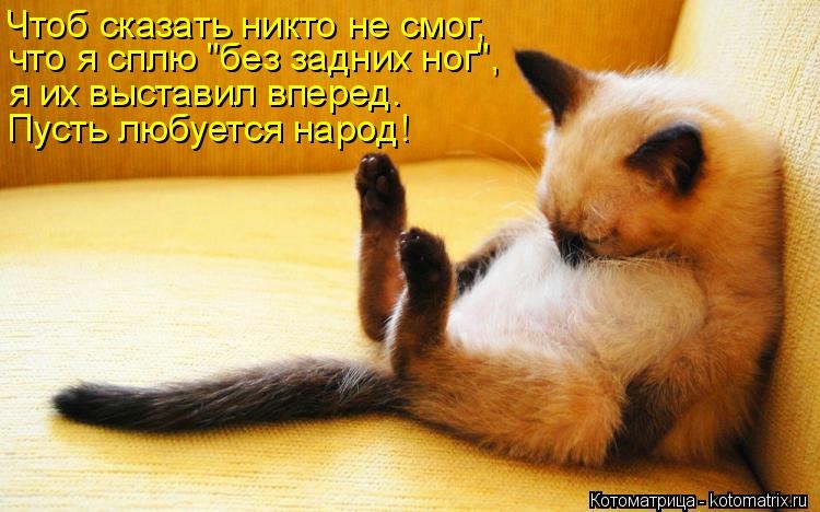 http://img0.liveinternet.ru/images/attach/b/4/113/112/113112494_large_kotomatritsa_UG.jpg