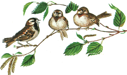 0d1995db6d1e632f1dea68980b0e3ab7 (438x260, 37Kb)
