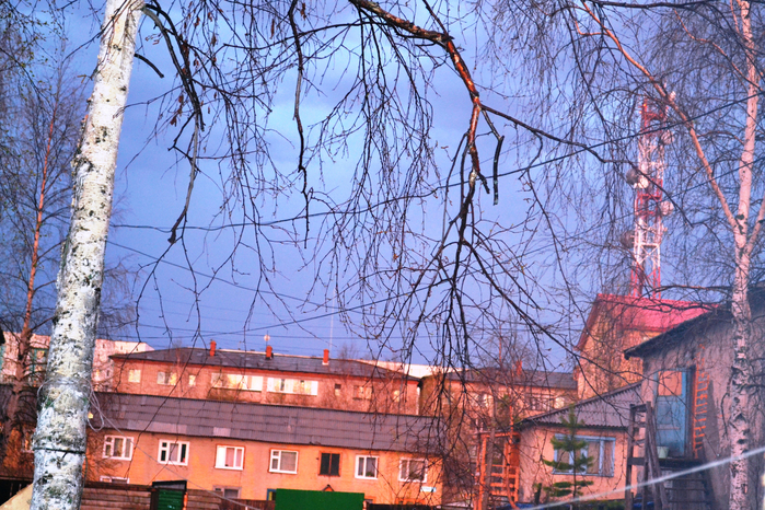 _DSC1386 (700x466, 591Kb)