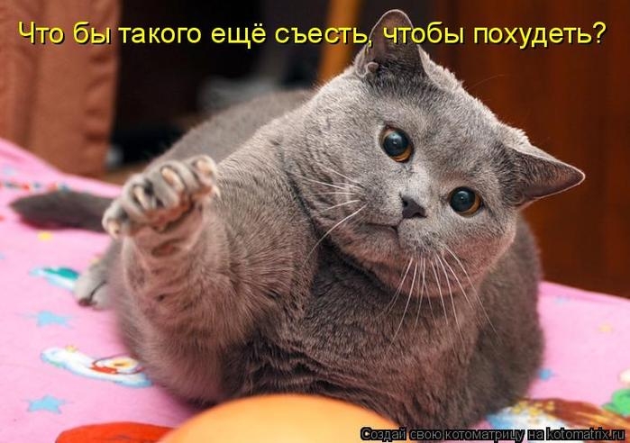 10 (699x492, 169Kb)