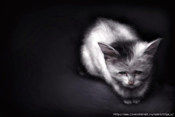 4964063_lSFe73Omos (700x467, 101Kb)