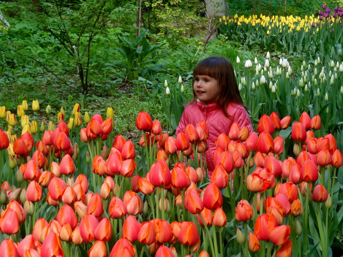 DSC02222 (700x525, 297Kb)