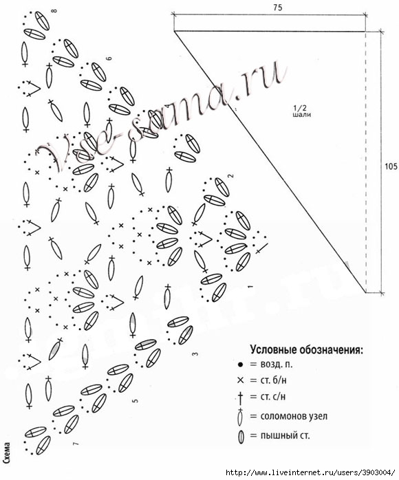 Shal-kriuchkom-iz-solomonovykh-uzelkov-ch (580x698, 134Kb)