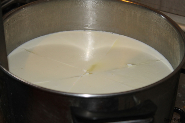Как сделать итальянский сыр пекорино в домашних условиях. Рецепт с фотографиями
