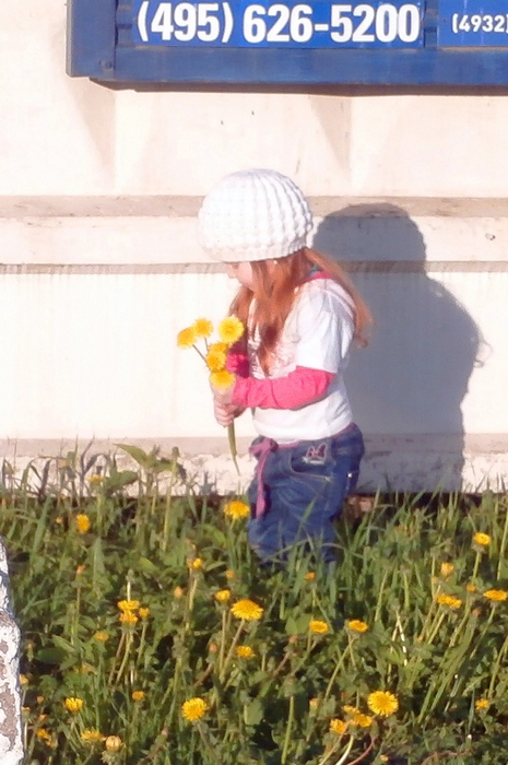 4757949_P5140025 (465x700, 253Kb)