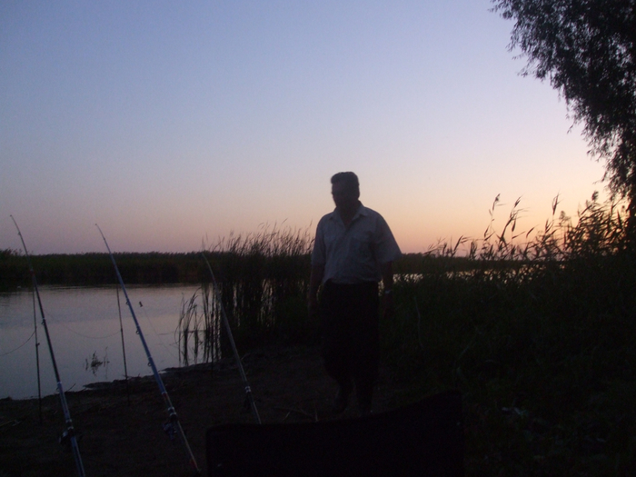 DSCF8895 (700x525, 331Kb)