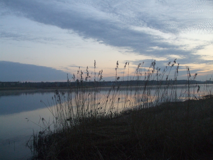 DSCF7683 (700x525, 373Kb)