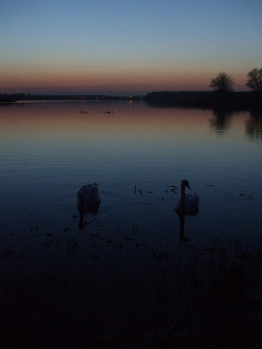 DSCF7725 (525x700, 329Kb)