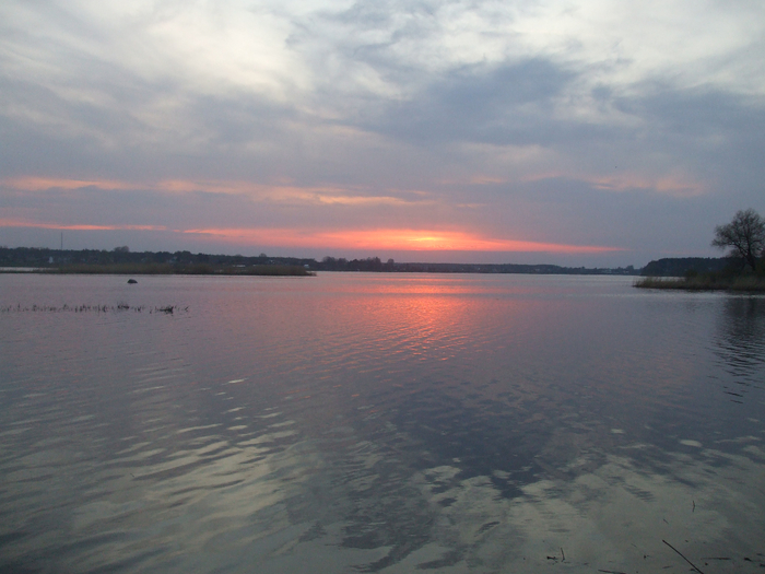 DSCF7752 (700x525, 359Kb)