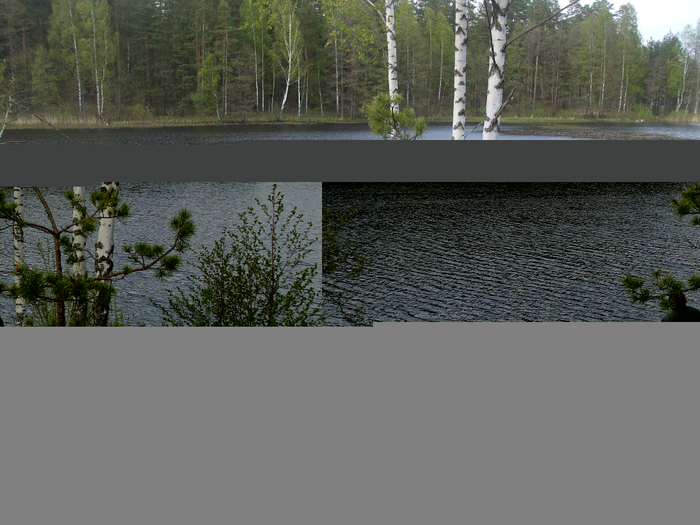 DSCF7921 (700x525, 317Kb)