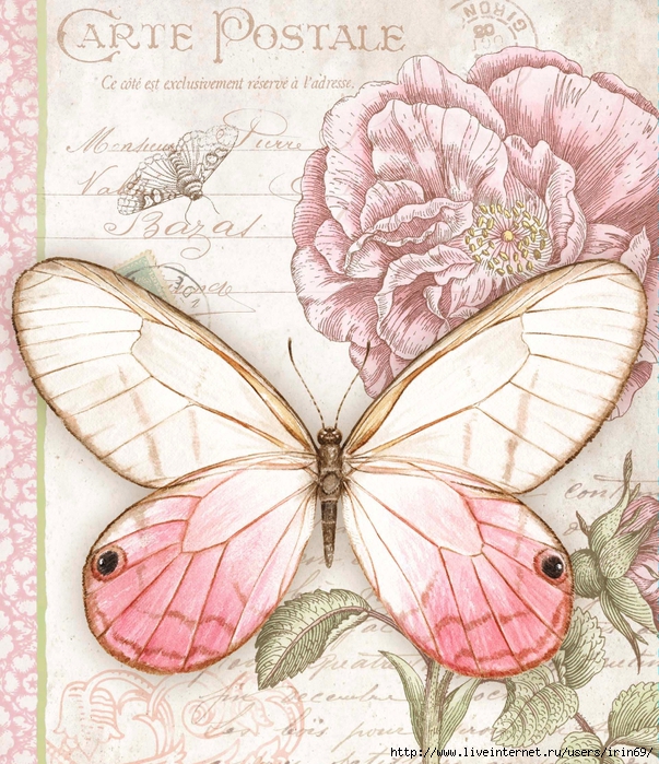 pink-butterfly-address-book-1013230 (603x700, 439Kb)
