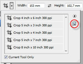 crop12 (272x209, 15Kb)