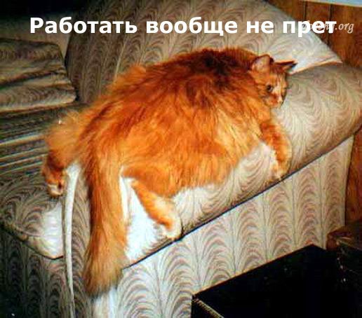 http://img0.liveinternet.ru/images/attach/b/4/113/678/113678066_3821971_crjnbyf2.jpg