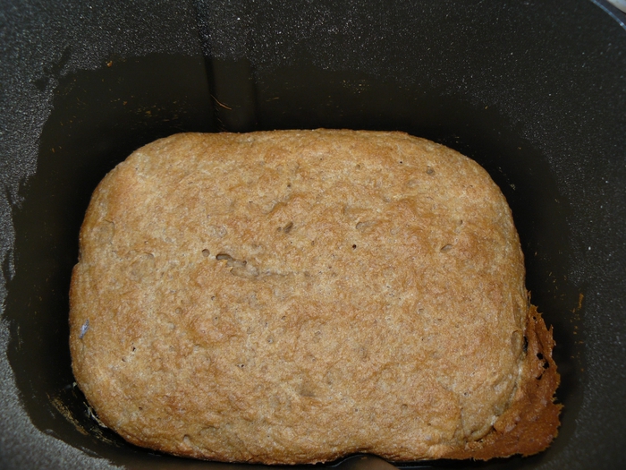 Рецепт хлеба от бельковича. Хлеб цельнозерновой с полбой. Хлеб из полбяной муки в духовке. Пирожки из цельнозерновой муки с дрожжами. Полбяные пироги.