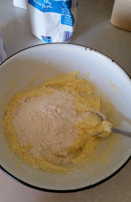 20140608_152935 (453x700, 60Kb)