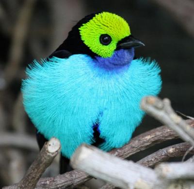 interesting_2012092513391225 (400x388, 22Kb)