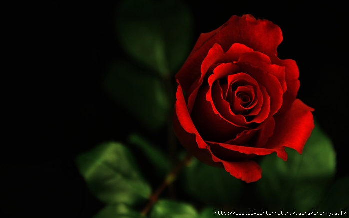 0_fb657_6ab03f77_XL (700x437, 112Kb)