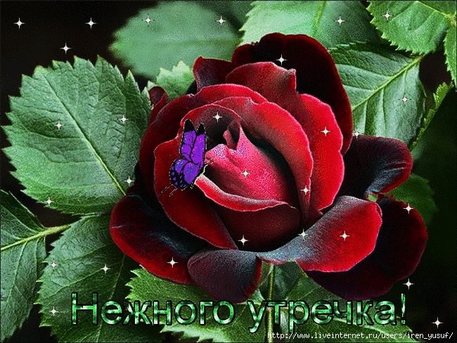 0c19e247071b9470f772d509348532ec (650x488, 389Kb)