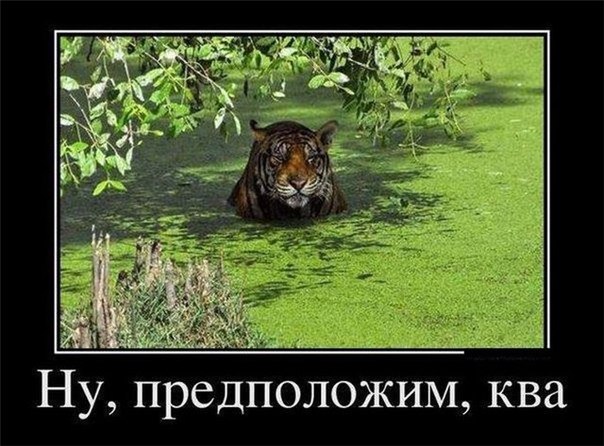 . ) (604x446, 74Kb)