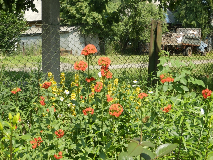 5200887_034 (700x525, 405Kb)