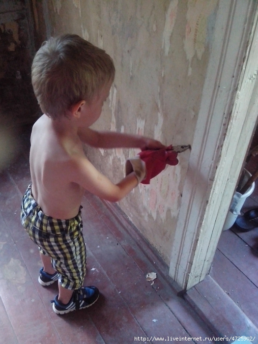 IMG_20140531_164957 (525x700, 253Kb)
