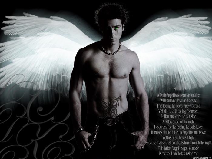 Dark_Angel_by_ShadowlessAngelus (700x525, 198Kb)